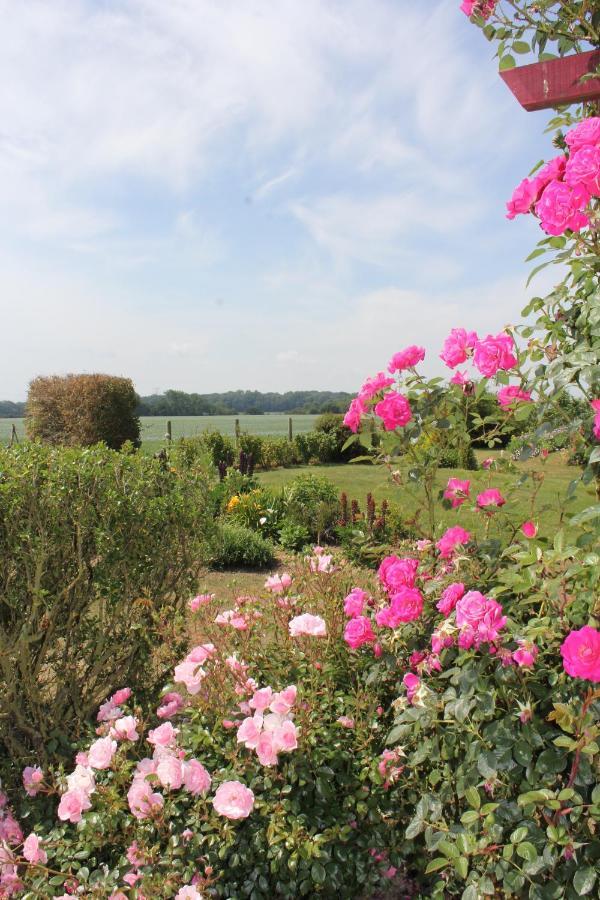 Bed and Breakfast Chambre D'Hotes Le Clos Fleuri Criel-sur-Mer Zewnętrze zdjęcie