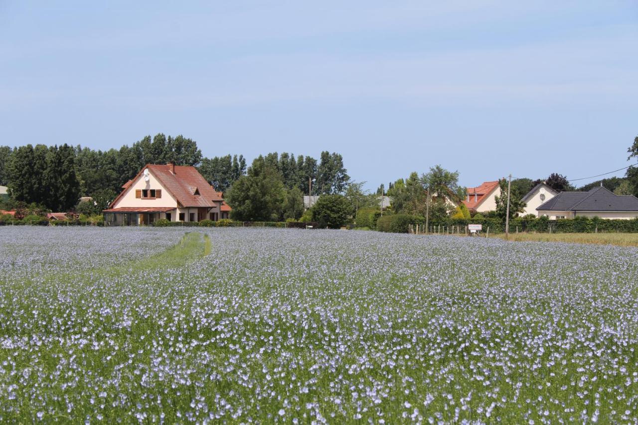 Bed and Breakfast Chambre D'Hotes Le Clos Fleuri Criel-sur-Mer Zewnętrze zdjęcie