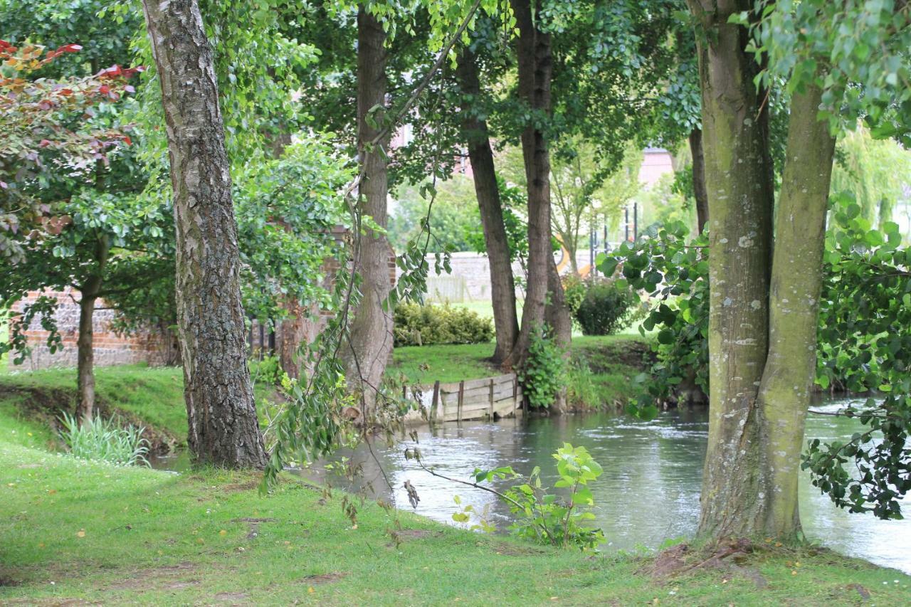 Bed and Breakfast Chambre D'Hotes Le Clos Fleuri Criel-sur-Mer Zewnętrze zdjęcie