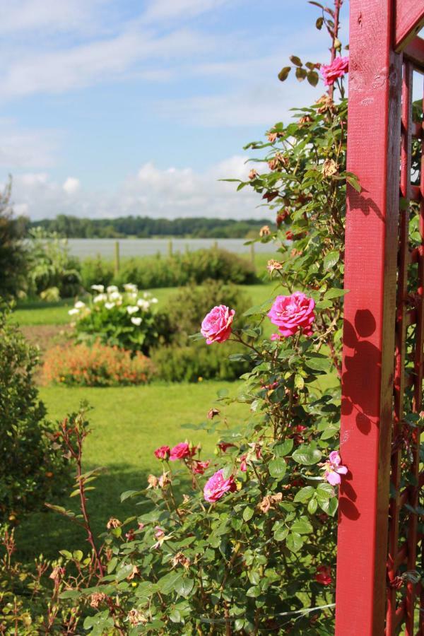 Bed and Breakfast Chambre D'Hotes Le Clos Fleuri Criel-sur-Mer Zewnętrze zdjęcie